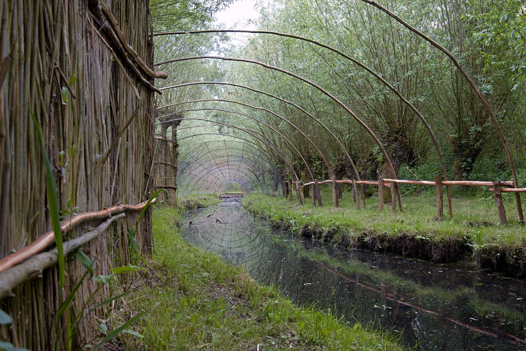 brabant biesbosch biesbos nationaal park natuurgebied natuur bevers eendenkooi rondvaart recreatie